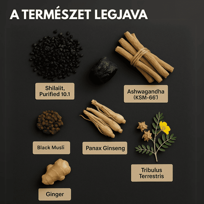Himalájai Tiszta Shilajit Gumicukor – Aphroly®